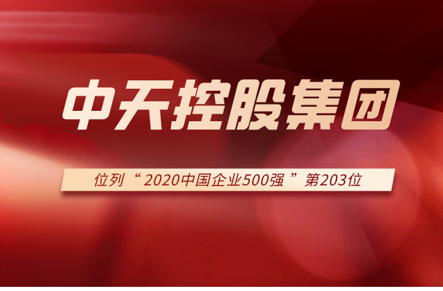 乐天使集团列2020中国企业500强第203位！
